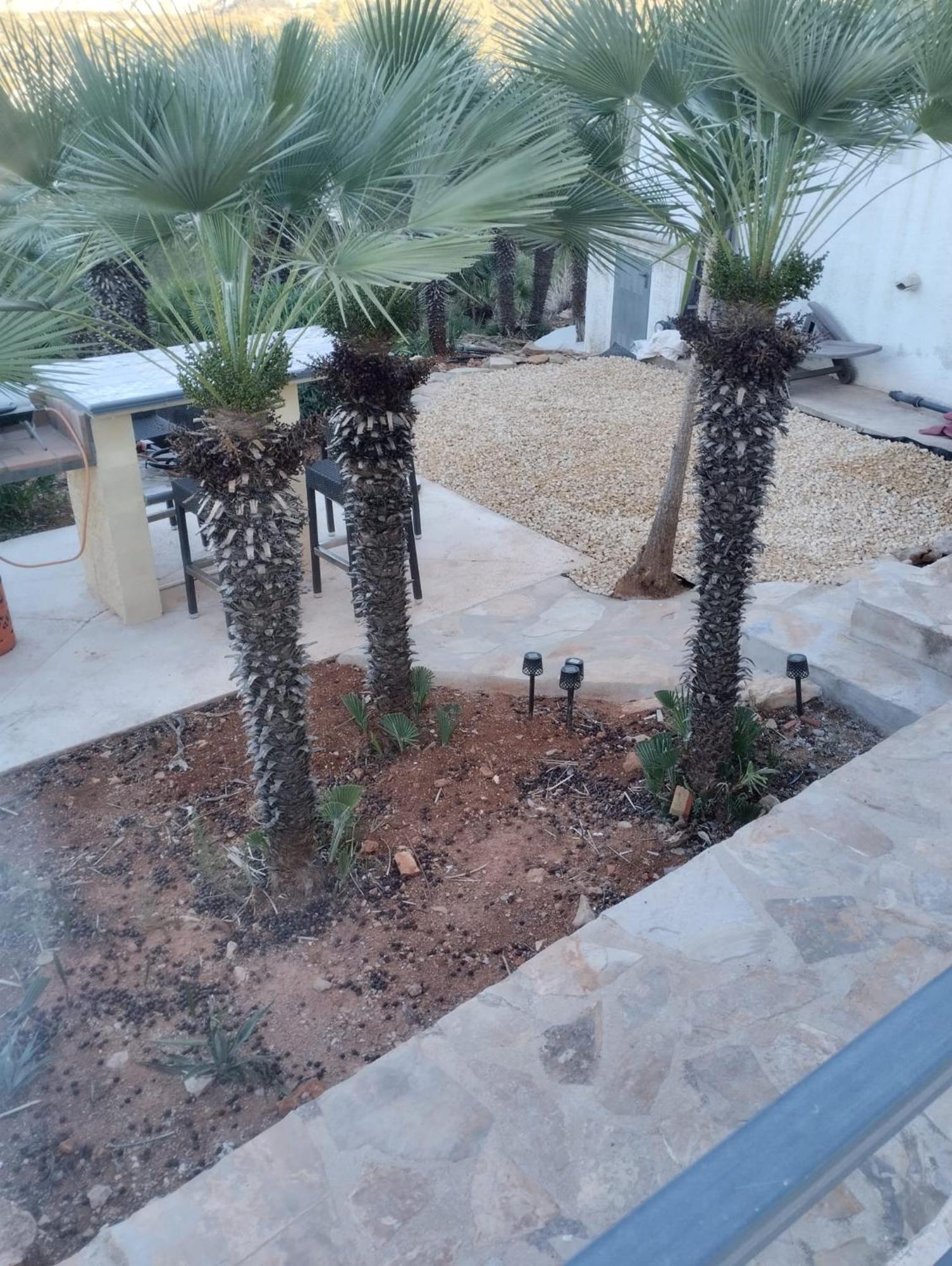 Luxe Appartement Met Tuin Benidoleig Zewnętrze zdjęcie